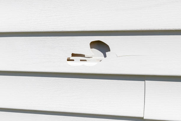 Best Construction Debris Removal  in Burlington, CO